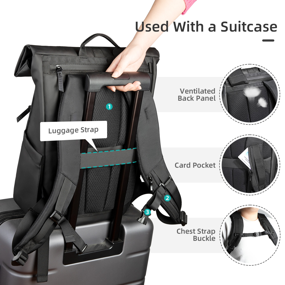 Heroic Knight Luxury Rolltop B - Luxury Bags That Fit Laptop review and price